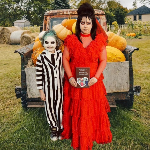 Lydia Beetlejuice Costume Medium - Picture 5 of 8